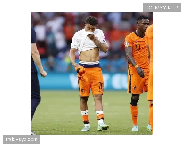 黄蜂队防守漏洞暴露，对手频频突破防线引发关注