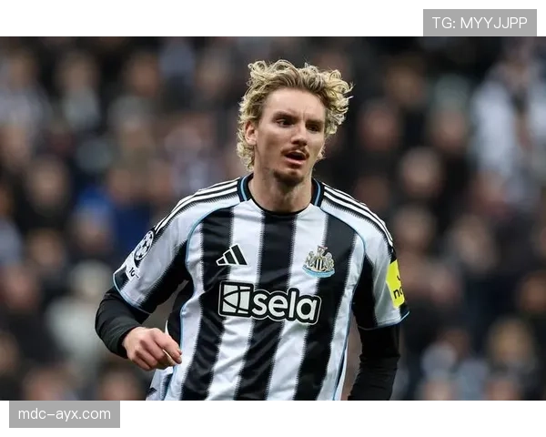 德甲黄黑球队赛季不败战绩亮眼，强势表现引全欧关注