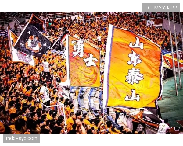 山东泰山中场硬度近期表现稳健，防守拦截能力持续提升