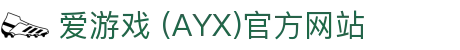 AYX爱游戏在线官网